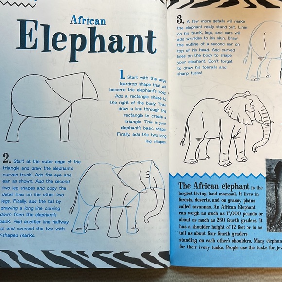 📚2/$6 2-Book Bundle Learn to Draw Animals - Picture 16 of 16